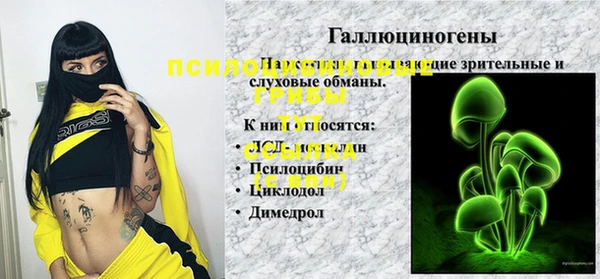 эйфоретик Каменка
